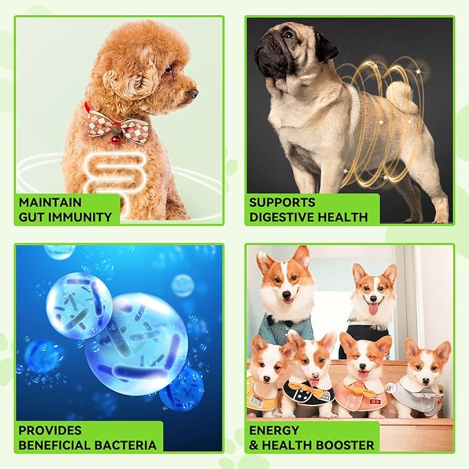 Probiotic for Dogs, 2 Pack Natural 3 in 1 Dog Probiotic Drops Helps to Diarrhea & Upset Stomach Relief, Supports Healthy Digestive System, Allergies, Digestive Enzyme for Dog, Bacon Flavor - 60ml x 2