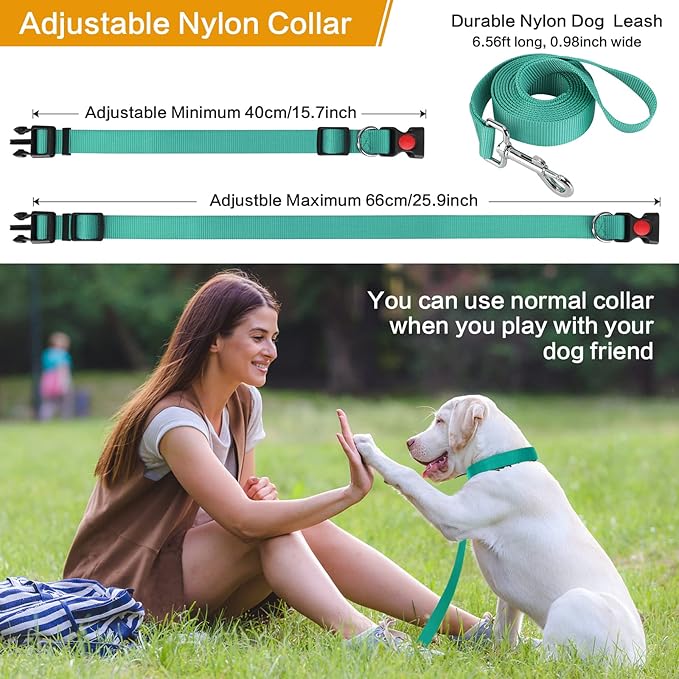 Prong Training Collar with Comfort Tips and Quick Release Snap Buckle - Classic Collar and Leash for Small to Large Dogs