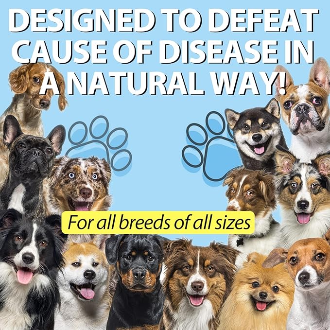 Kennel Cough Treatment for Dogs, Kennel Cough Herbal Drops - 2.02 Fl.oz / 60 ml