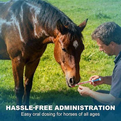 Ivermectin Equine Paste 1.87% – Apple Flavored Oral Dewormer for Horses, 6-Pack
