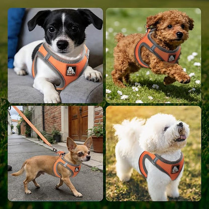 Dog Harness Medium Sized Dogs, Puppy Harness and Leash Set for Training, Running, Walking, Suitable for Small and Medium Dog Vest, Orange, L