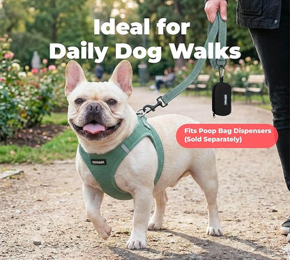 Best Pet Supplies Voyager Reflective Dog Leash or Collar with Neoprene Handle, for Small, Medium, and Large Breed Puppies, Cute and Heavy Duty for Walking, Running and Training - Moss Green (Leash), M