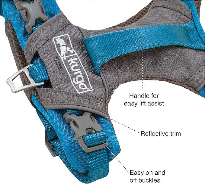 Kurgo Journey Air Dog Harness - Secure Fit for Active Dogs - Padded Chest - Lightweight Ripstop Fabric - Breathable Mesh - Reflective Trim - Back Assist Handle - Coral - Medium