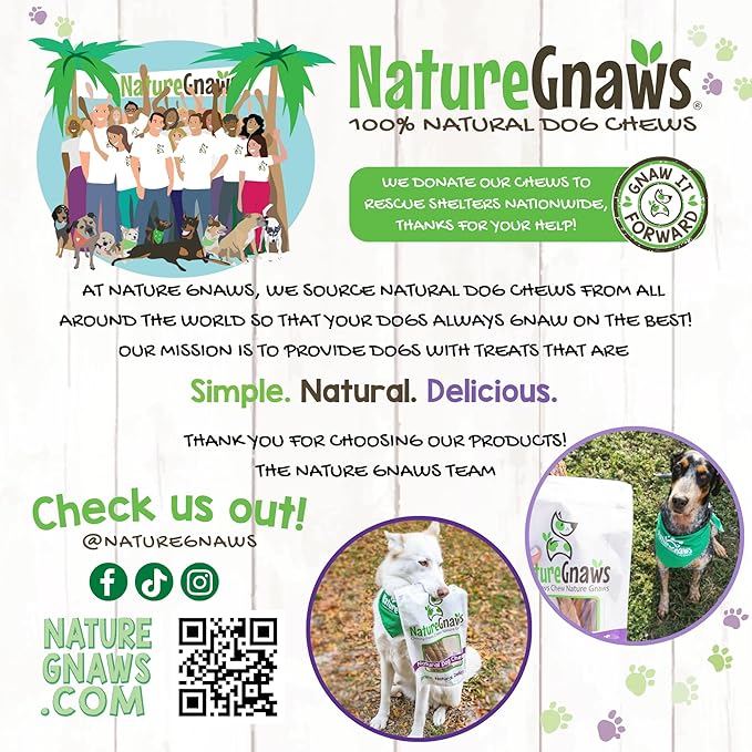 Nature Gnaws Super Skinny Bully Sticks for Small Dogs 5-6" (15 Count) - Long Lasting for Light Chewers and Puppies - Extra Thin Natural Beef Dog Chew Treats
