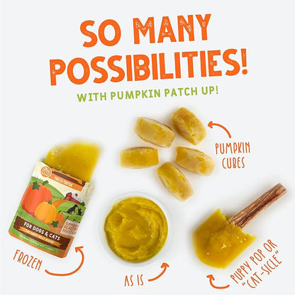 Weruva Pumpkin Patch Up! Pumpkin Pumpkin, What's Your Function Variety Pack for Dogs & Cats, 1.05oz Pouch (Pack of 12)