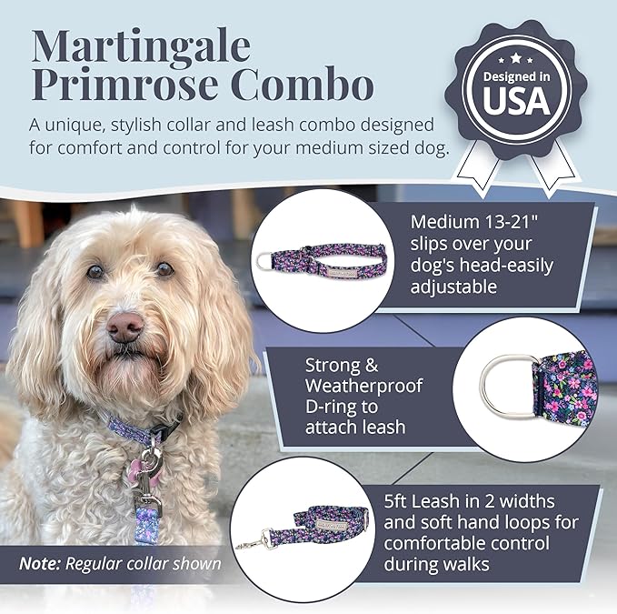 Lucky Love Dog Martingale Dog Collar & Leash - Adjustable, No-Slip, Durable, Comfortable, Soft Webbing, & Stylish Patterned Collar & Leash Set for Male and Female Dogs - Primrose Combo, Medium