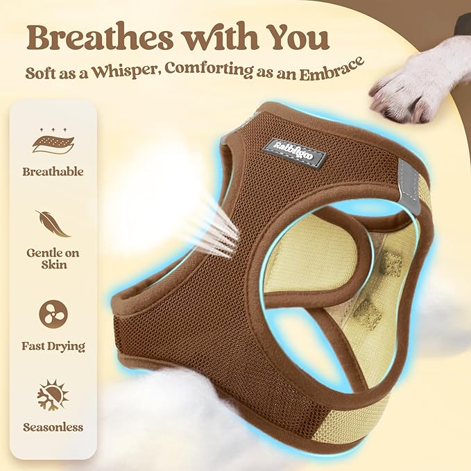rabbitgoo Dog Harness Small Sized and Leash Set, Step in Soft Light Puppy Vest, Breathable Mesh Pet Harness, Reflective for Safe Easy Walking, Brown & Beige S