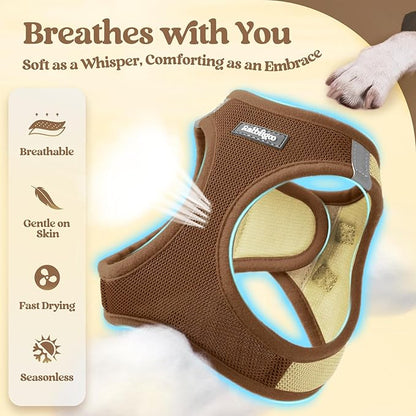 rabbitgoo Dog Harness Small Medium Sized and Leash Set, Step in Soft Light Puppy Vest, Breathable Mesh Pet Harness, Reflective for Safe Easy Walking, Brown & Beige L