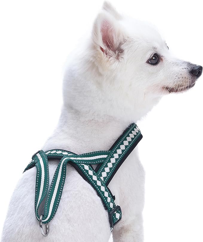 Blueberry Pet 6 Colors Soft & Comfy Jacquard Padded Dog Harness, Chest Girth 21.5" - 27.5", Teal Blue, S/M, Reflective Adjustable Harnesses for Dogs