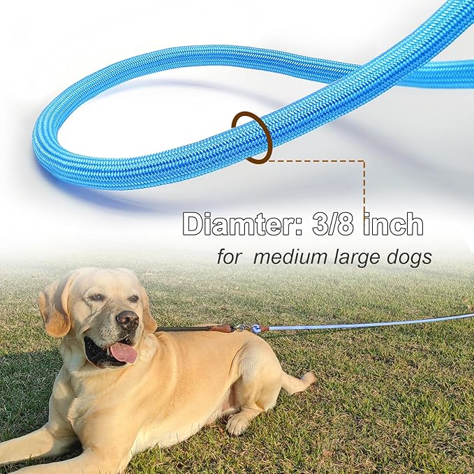 30FT Tie Out Rope Dog Leash, Long Tether 10-15-20-30 FT Dog Tie Down Nylon Check Cord for Medium Large Dogs Outdoor Playing Camping Backyard (Blue, 3/8")