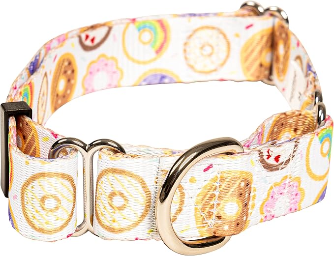 Downtown Pet Supply - Martingale Collar for Dogs - Dog Training Collar - Big, Wide & Thick Dog Collar - Escape-Proof, Weatherproof, Durable and Comfortable - Donut - Medium Dog Collar