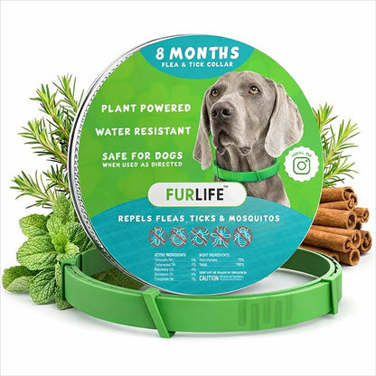 FurLife Flea and Tick Collar for Dogs – Waterproof Green Dog Collar, Pet Supplies for Tick and Flea Prevention for Dogs, Safe for All Breeds
