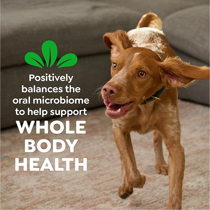 Greenies Veterinarian-Recommended Adult Natural Dental Dog Treats Regular Size, Dog Dental Chews, Original Flavor, 3 oz. Pack, 3 Count