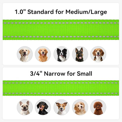Joytale Dog Leash, 6 FT Double-Sided Reflective, Padded Handle Nylon Heavy Duty Leashes for Medium & Large Dogs Walking, Green