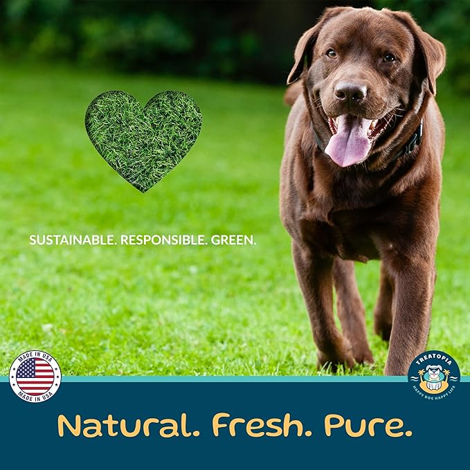 TREATOPIA Beef Liver Nuggies Dog Treats, 8 Ounce Bag - All-Natural, Sustainable, Healthy, High Protein, Hand-Trimmed, Slow-Roasted, Made in The USA, Nutritious, No Additives, No Fillers