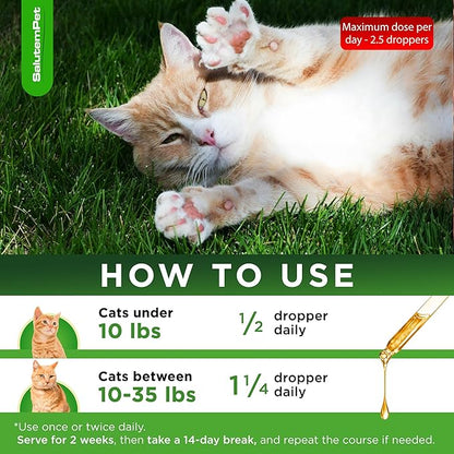 Cat Antibiotic in Drops – Natural Antibiotics for Cats with Chicken Flavor Help with UTI, Cough, Allergies – Safe for Pets and Breeds – 2-oz Bottle with a Pendant Included