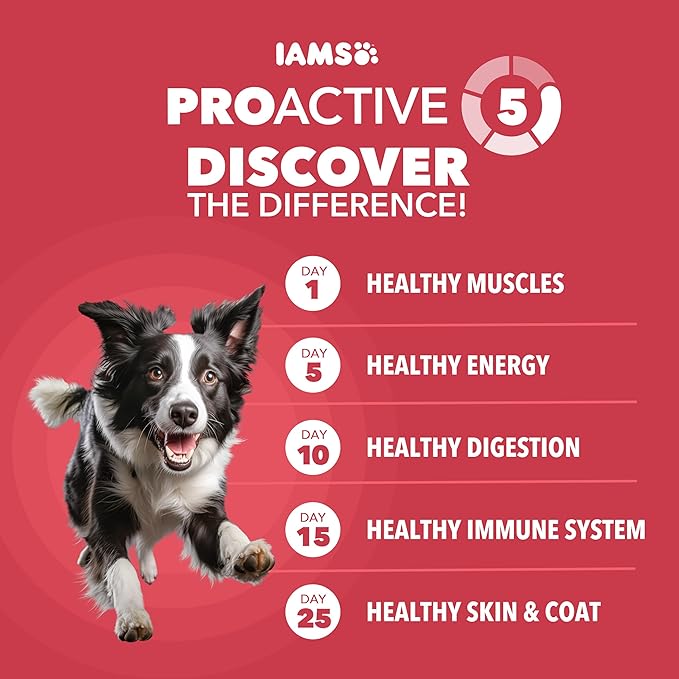 IAMS Proactive Health Dry Dog Food, Adult Dog Food Dry Recipe, Lamb & Rice, 30 lb. Bag