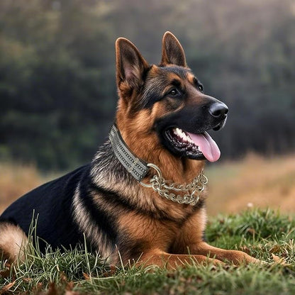 Martingale Dog Collars, Reflective Nylon Collar with Stainless Steel Chain, Adjustable Walking Training Dog Collars with Quick Release Buckle, Suitable for Small Medium Large Dogs(Gray,M)
