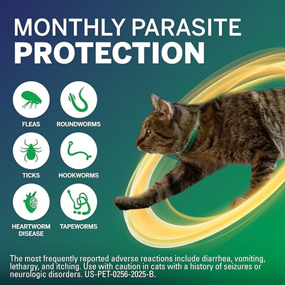 NexGard® Combo (esafoxolaner, eprinomectin, and praziquantel Topical Solution) Flea and Tick Protection Plus Heartworm Disease Preventive for Cats, 5.6-16.5 lbs. (Yellow Box) 6 Doses (6 Month Supply)