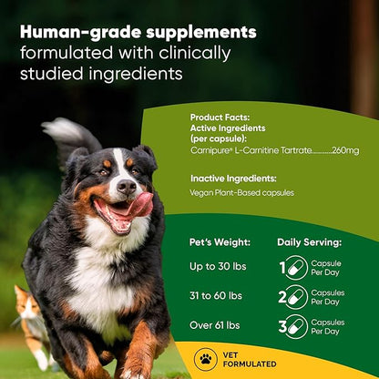 Rooted Owl Metabolism Support - L-Carnitine Supplement for Dogs and Cats to Support Healthy Weight - Dog and Cat Supplement - 60/ct