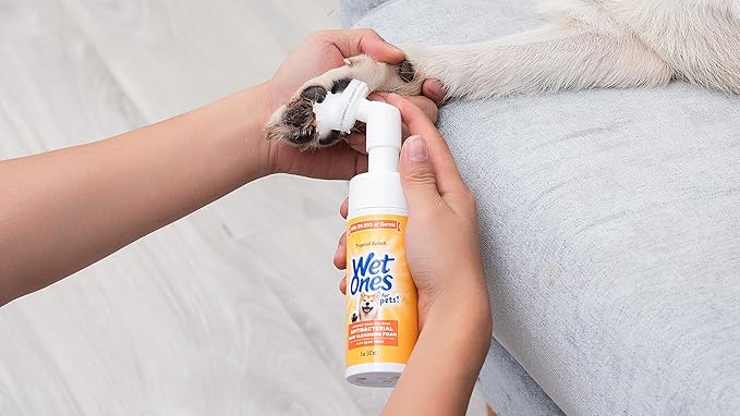 Wet Ones for Pets Antibacterial Dog Paw Cleaner with Built-in Brush, Foaming No-Rinse Formula for Cleaning Dirty Paws After Walks, Gentle Everyday Paw Wash for Dogs, 5 Oz - 2 Pack
