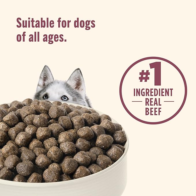Nutrish High Protein Beef, Potato & Peas Recipe with Venison & Lamb Dry Dog Food, 4 lb. Bag, Packaging May Vary (Rachael Ray)