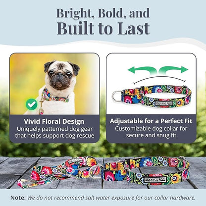Lucky Love Dog Martingale Collar and Leash Set, Premium No Slip Collar and Leash Set, Great for Whippets, Greyhounds, and More (Blackbird, Small - Combo)