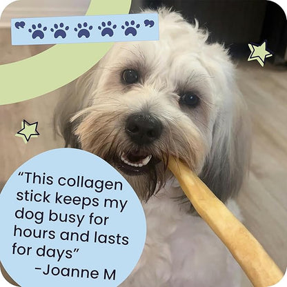 Pawstruck Natural 5-7" Beef Collagen Sticks for Dogs – Long-Lasting Rawhide Alternative, High Protein & Low Fat with Chondroitin & Glucosamine – 5 Pack