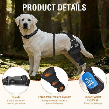 Dog Leg Brace for Back Leg – Comfortable Adjustable Knee Brace for ACL Injury and Luxating Patella, Includes Removable Hot/Cold Compress Gel Packs for Joint Recovery, Left Leg, Size L