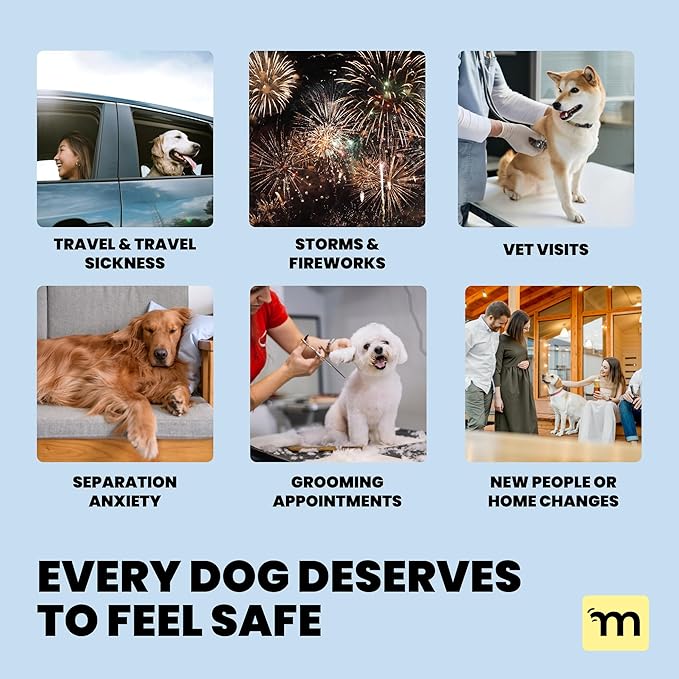 MalsiPree Calming Soft Chews for Dogs - 145 Count, Salmon Flavor - Promotes Relaxation & Composure - Support for Car Rides, Loud Noises, Grooming & Changes in Routine - with Chamomile & Melatonin
