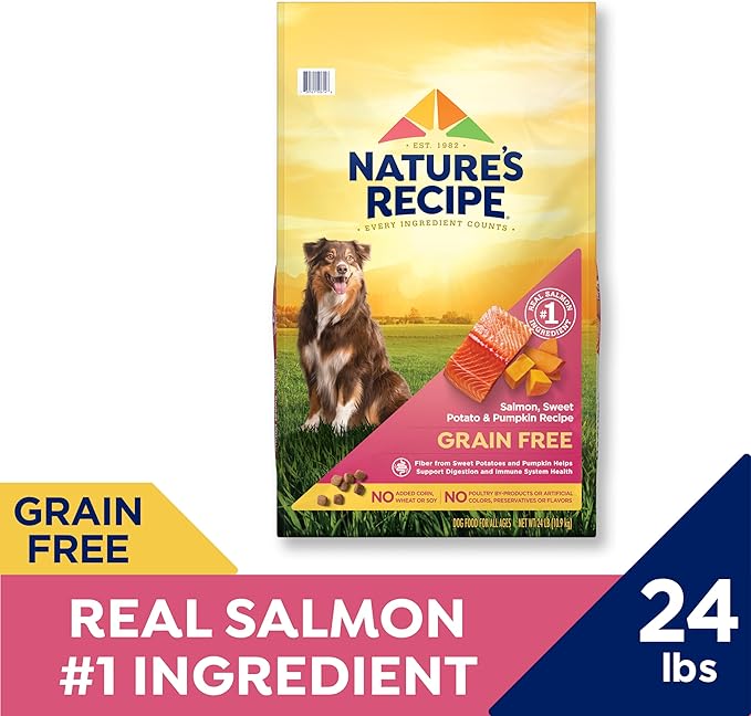 Nature's Recipe Grain Free Salmon, Sweet Potato & Pumpkin Recipe Dry Dog Food, 24 lb. Bag