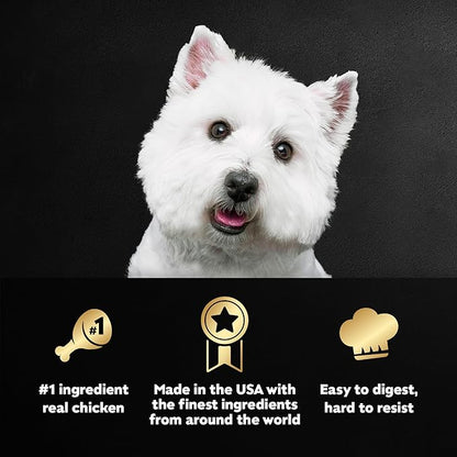 Cesar Filets in Gravy, Adult Wet Dog Food, Rotisserie Chicken Flavor, Wet Food for Dogs, 3.5 oz Trays, 24 Count