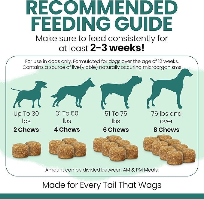 Dog Multivitamin Chewable - Chew + Heal 12-in-1, 60 Ct, Puppy & Senior Dog Vitamins & Supplements for Hip & Joint, Skin & Coat, Immune Support with Glucosamine, Omega 3,6,9, Probiotics, Chicken Flavor