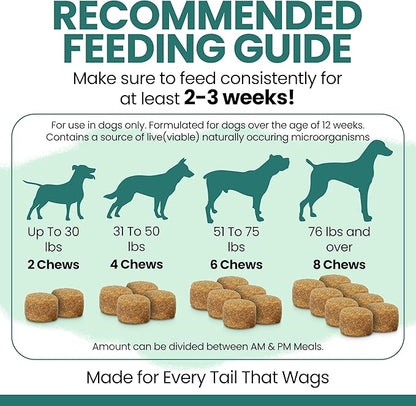 Dog Multivitamin Chewable - Chew + Heal 12-in-1, 60 Ct, Puppy & Senior Dog Vitamins & Supplements for Hip & Joint, Skin & Coat, Immune Support with Glucosamine, Omega 3,6,9, Probiotics, Chicken Flavor
