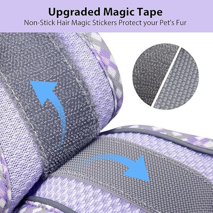 AIITLE Dog Harness and Leash Set - Ultra-Comfortable XXS-XL Vest with Strong Magic Tape & Glow-in-Dark Reflective Strips, Chafe-Free for Teddy, Schnauzer (Purple, M)
