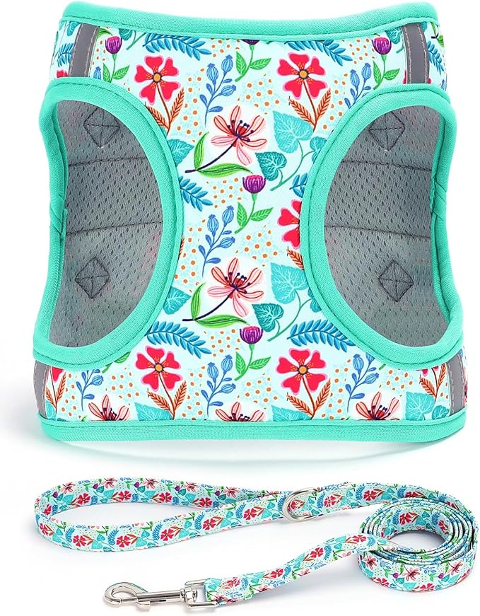 Moonpet Step in Dog Harness Leash Set- All Weather Reflective No-Pull Floral Pattern Padded Mesh Vest Harness for Cats Puppy Extra-Small Small Medium Large Dogs - Verdure Flower - XL