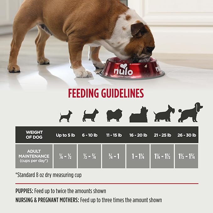 Nulo Frontrunner Dry Dog Food Small Breed - High-Protein Turkey, Whitefish & Quinoa Recipe, Natural Puppy & Adult Dog Food, Small Sized Kibble with Probiotics, Taurine, Omega 3, 5lb Bag