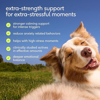 Native Pet Advanced Calming Chews for Dogs Medium Breed - Anxiety Relief, Stress, Separation & Sleep Support with Melatonin for Dogs, Hydrolyzed Casein, Valerian Root & L-Tryptophan - 30 Days Supply