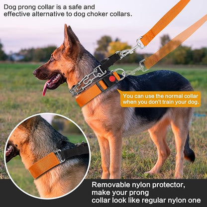 Prong Training Collar with Comfort Tips and Quick Release Snap Buckle - Dog Choke Pinch Collar with Nylon Cover