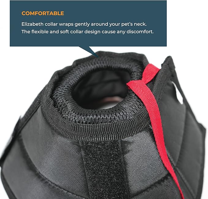 Dog Cone Collar Adjustable After Surgery, Protective Soft Dog Cone, Elizabethan Dogs Collar (Black, S Long [Neck Girth: 11.4"-14.2"])