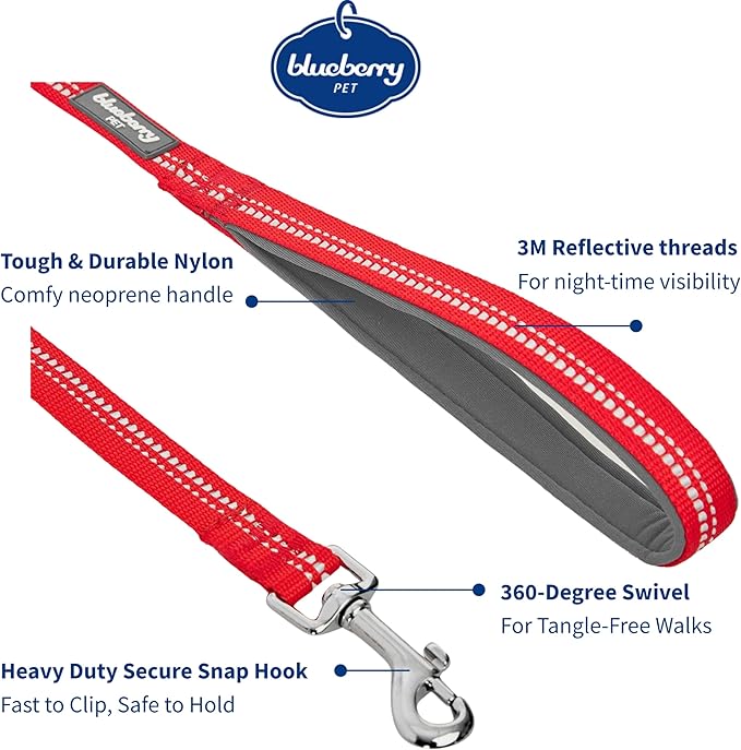 Blueberry Pet 3M Reflective Pastel Color Dog Leash with Soft & Comfortable Handle, 5 ft x 5/8", Red, Small, Leashes for Dogs