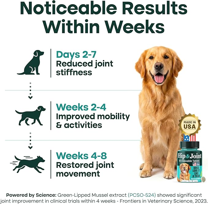 Natureflow Hip & Joint Supplement for Dogs, 300mg Green-Lipped Mussel for Dog Arthritis Pain Relief, Glucosamine, MSM & Chondroitin, Zero Sugar, Large Medium Small Breeds, 100 Chewable Tablets