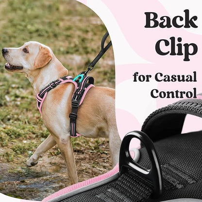 rabbitgoo Dog Harness Small Sized, No Pull Pet Harness with 3 Buckles, Adjustable Soft Padded Vest with Control Handle, Walking Reflective Pet Vest for Small Dogs, Black & Pink, S