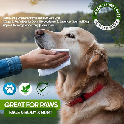 Petazy Dog Wipes for Paws and Butt – 100 Count (8x8in) Hypoallergenic, Deodorizing Pet Wipes for Dogs and Cats | Extra Large, Plant-Based, Unscented | Travel Size, Single On-the-Go Pack