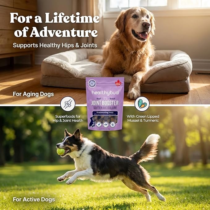healthybud Hip and Joint Dog Treats - Glucosamine Soft Beef Liver Bites for Senior Dogs, Arthritis Support 14.1oz