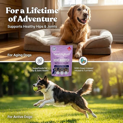 healthybud Hip and Joint Dog Treats - Glucosamine Soft Beef Liver Bites for Senior Dogs, Arthritis Support 14.1oz