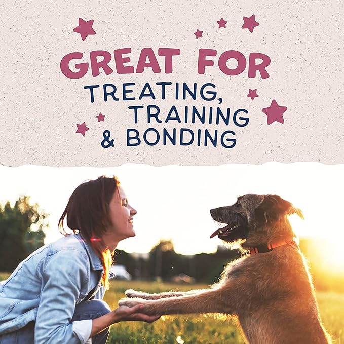Natural Balance Limited Ingredient Rewards Jumpin' Stix, Grain-Free Dog Treats for Adult Dogs of All Breeds, Venison Recipe, 4 Ounce (Pack of 2)