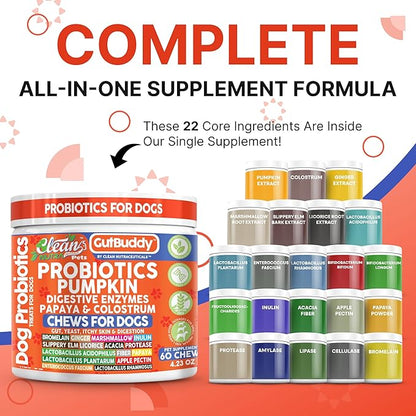 Gut Health Probiotics for Dogs + Pumpkin Colostrum Digestive Enzymes Ginger Slippery Elm Licorice Inulin Fiber Soft Chews Dog Probiotic Beef Flavor Digestion Supplement Treat Bites Large & Small Pets
