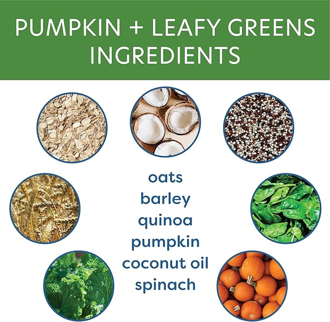 Body and Soul Pumpkin + Leafy Greens Crunchy Premium Healthy Training Dog Treat Superfood Oven Baked Biscuits Oats, Barley & Quinoa Clean Natural Plant Protein, No Additives No Filler Made in USA 10oz
