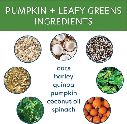 Body and Soul Pumpkin + Leafy Greens Crunchy Premium Healthy Training Dog Treat Superfood Oven Baked Biscuits Oats, Barley & Quinoa Clean Natural Plant Protein, No Additives No Filler Made in USA 10oz